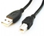 Attēls no Kabelis Gembird USB Male - USB Male B 3m Black
