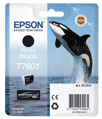 Attēls no Epson ink cartridge photo T 7601
