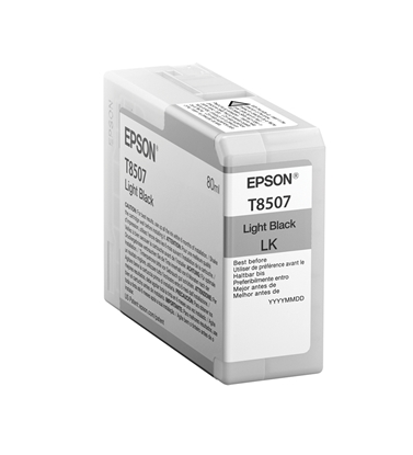 Изображение Epson ink cartridge light black T 850 80 ml               T 8507