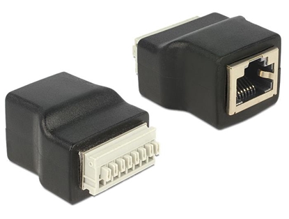 Picture of Delock Adapter RJ45 female  Terminal Block with push button 8 pin