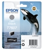 Picture of Epson ink cartridge light black T 7607