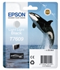 Picture of Epson ink cartridge light light black T 7609
