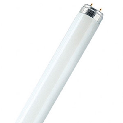 Picture of Autospuldze D3S 35W Neolux