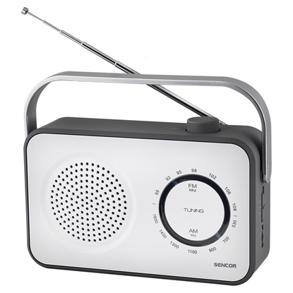 Attēls no Radio AM/FM SRD 2100W 