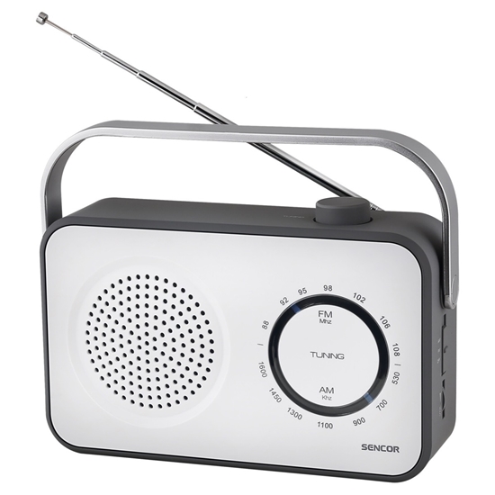 Picture of Radio AM/FM SRD 2100W 