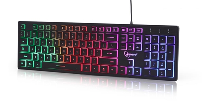 Obrazek Gembird Rainbow Backlight Multimedia Keyboard