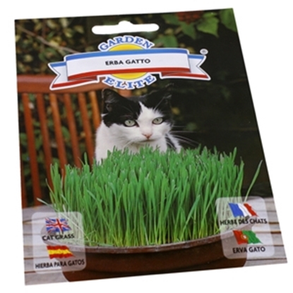 Picture of Sēklas Kaķu zāle 3.5g