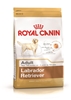 Picture of ROYAL CANIN Labrador Adult - dry dog food - 12 kg