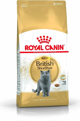 Attēls no Royal Canin FBN British Shorthair Adult - dry cat food - 10kg