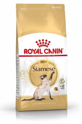 Изображение ROYAL CANIN Siamese Adult - dry cat food - 2 kg