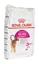 Picture of ROYAL CANIN Aroma Exigent - dry cat food - 10 kg