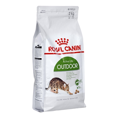 Изображение Royal Canin Active Life Outdoor cats dry food 4 kg Adult Poultry