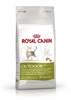 Picture of Royal Canin Active Life Outdoor cats dry food 4 kg Adult Poultry