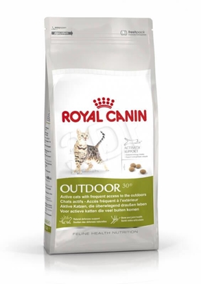 Изображение Royal Canin Active Life Outdoor cats dry food 4 kg Adult Poultry