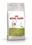 Picture of Royal Canin Active Life Outdoor cats dry food 4 kg Adult Poultry