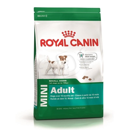 Attēls no Royal Canin Mini Adult 8+ 8 kg Senior Poultry, Rice, Vegetable