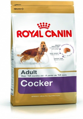 Attēls no ROYAL CANIN Adult Cocker - dry dog food - 12 kg