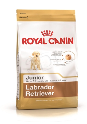 Attēls no ROYAL CANIN SHN Breed Labrador Junior dry dog food - 12 kg