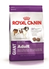 Picture of ROYAL CANIN Giant Adult - dry dog food - 15 kg