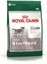 Picture of Royal Canin CCN MINI STERILISED - dry food for adult dogs - 8kg