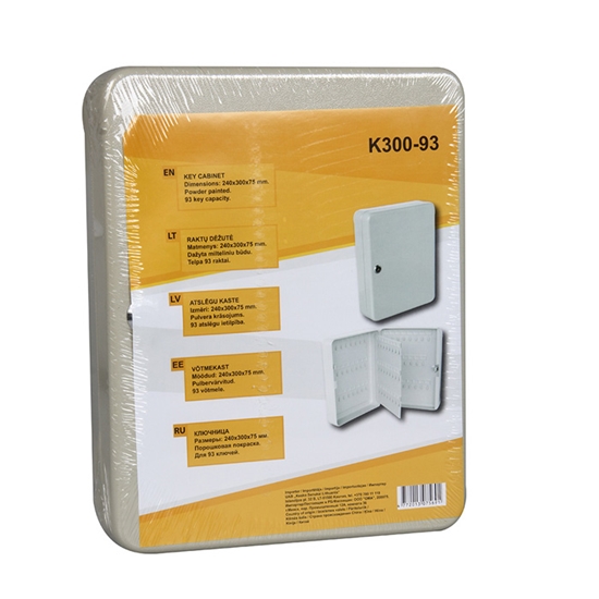 Picture of Atslēgu kaste 93-viet. 240x300x75 pelēka