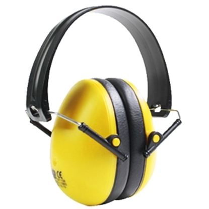 Изображение Austiņas Oregon