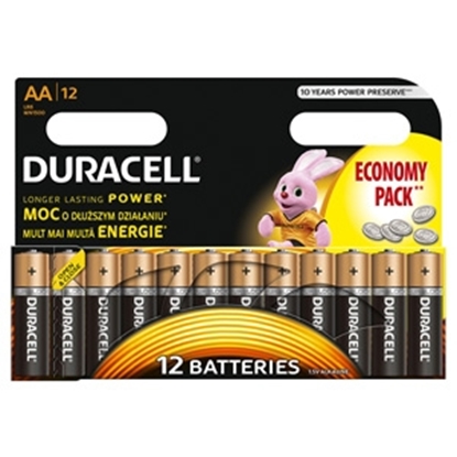 Изображение Bar.el.Duracell AA