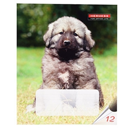 Picture of Burtnīca līniju 12lpp.