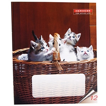 Изображение Burtnīca līniju 12lpp.