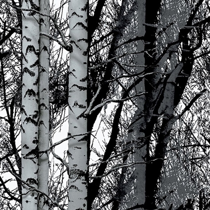 Attēls no Līmplēve-45cm x2m 346-0611