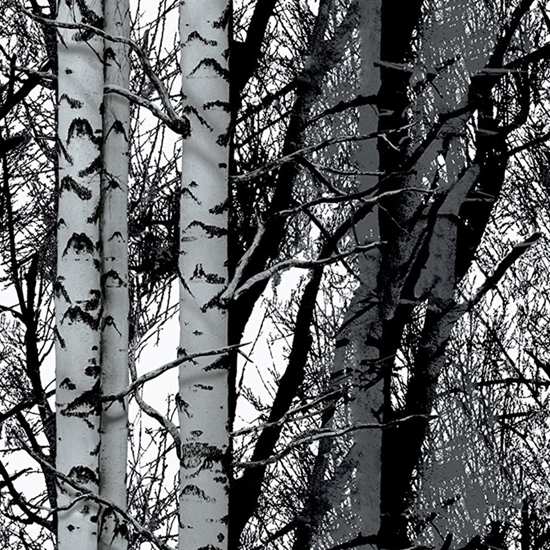 Picture of Līmplēve-45cm x2m 346-0611