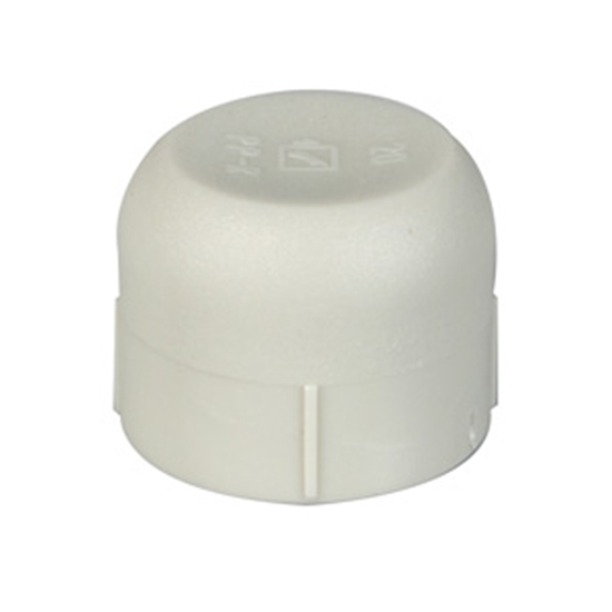 Picture of PPR Korķis 20mm Gallaplast