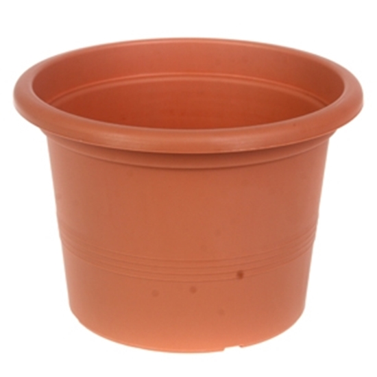 Picture of Puķu pods Campanula 20cm g.brūns