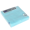 Picture of Salvetes 24cm Mint Blue
