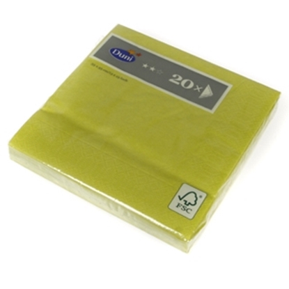 Attēls no Salvetes 33cm kivi