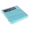 Picture of Salvetes 33cm Mint blue