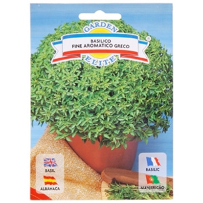 Picture of Sēklas Baziliks Basilico Fine 2.6g GS