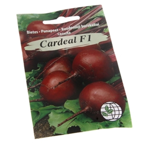 Picture of Sēklas Bietes Cardeal F1 AMC 4g