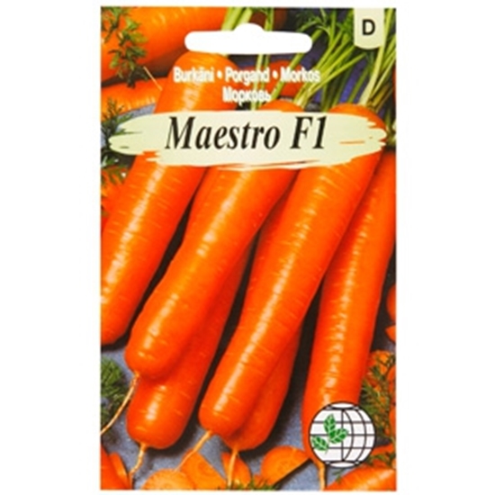 Picture of Sēklas Brukāni Maestro F1 200gab,granul.