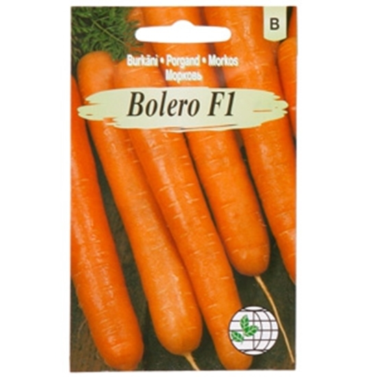 Picture of Sēklas burkāni Bolero F1 0.5g