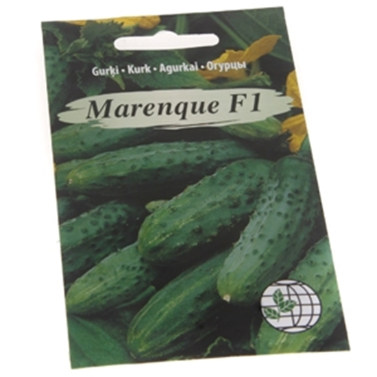 Picture of Sēklas Gurķi Marenque F1, 12 sēklas