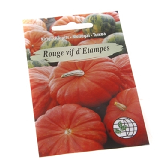Picture of Sēklas Ķirbis Rouge vif d'Etampes 5 sēklas