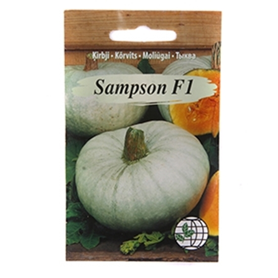 Picture of Sēklas Ķirbis Sampson F1 5 sēklas