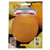 Picture of Sēklas Melone Galia F1