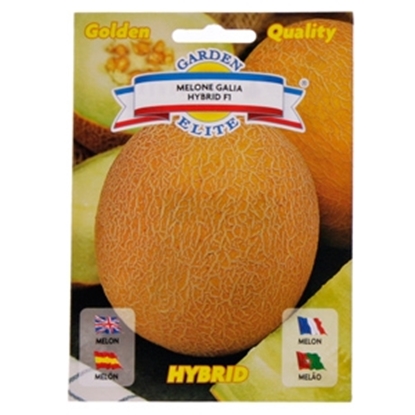 Picture of Sēklas Melone Galia F1