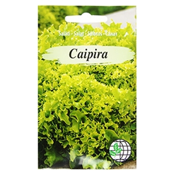 Picture of Sēklas Salāti Caipira F1