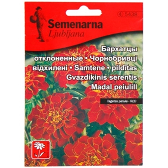 Picture of Sēklas Samtenes Safari sark. AMC 30sēkl.