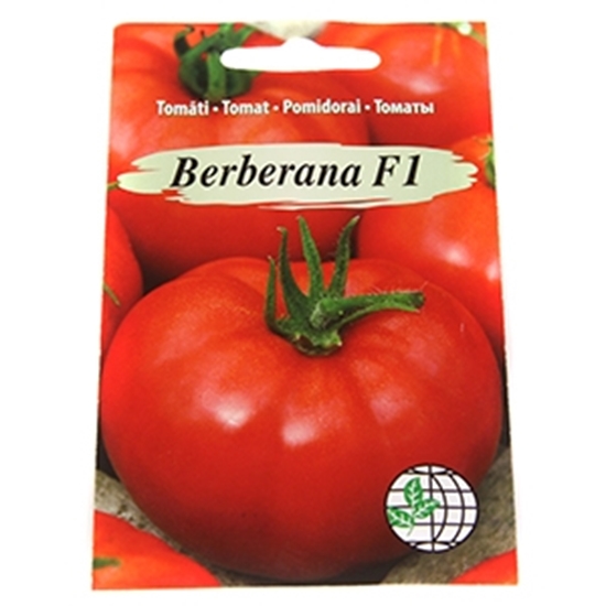 Picture of Sēklas Tomāti Berberana F1 7sēklas