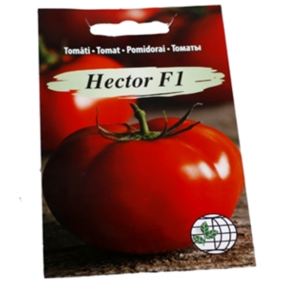 Picture of Sēklas Tomāti Hector 10 sēklas