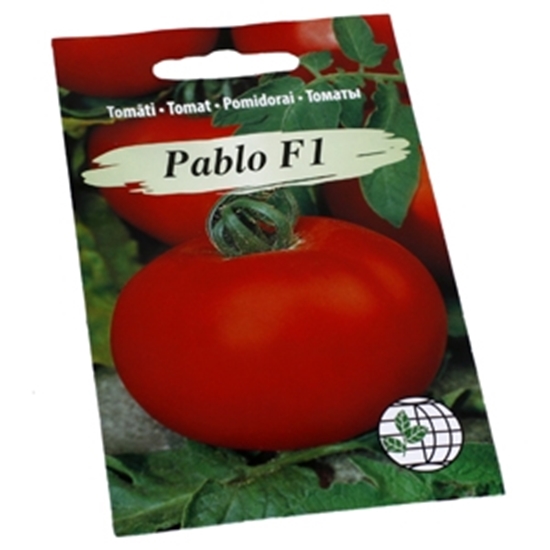 Picture of Sēklas Tomāti Pablo 10 sēklas